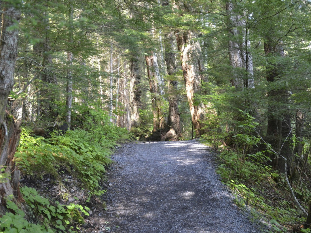 Sitka National Historic Park/Totem Park-锡特卡必去景点