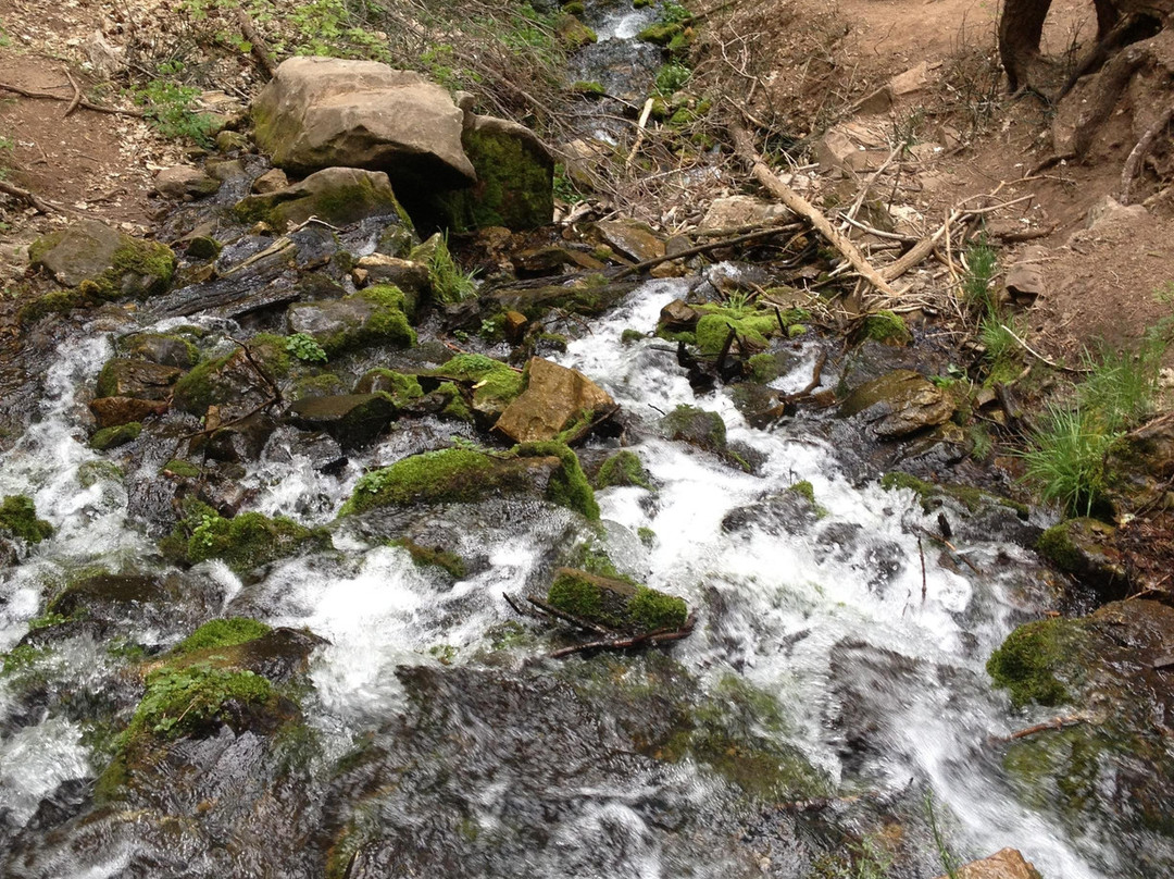 Horton Springs-Tonto Basin必去景点