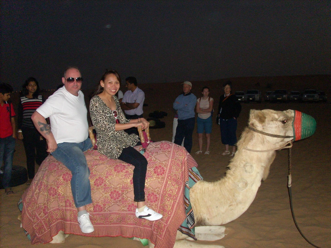 迪拜沙漠保护区-迪拜酋长国必去景点