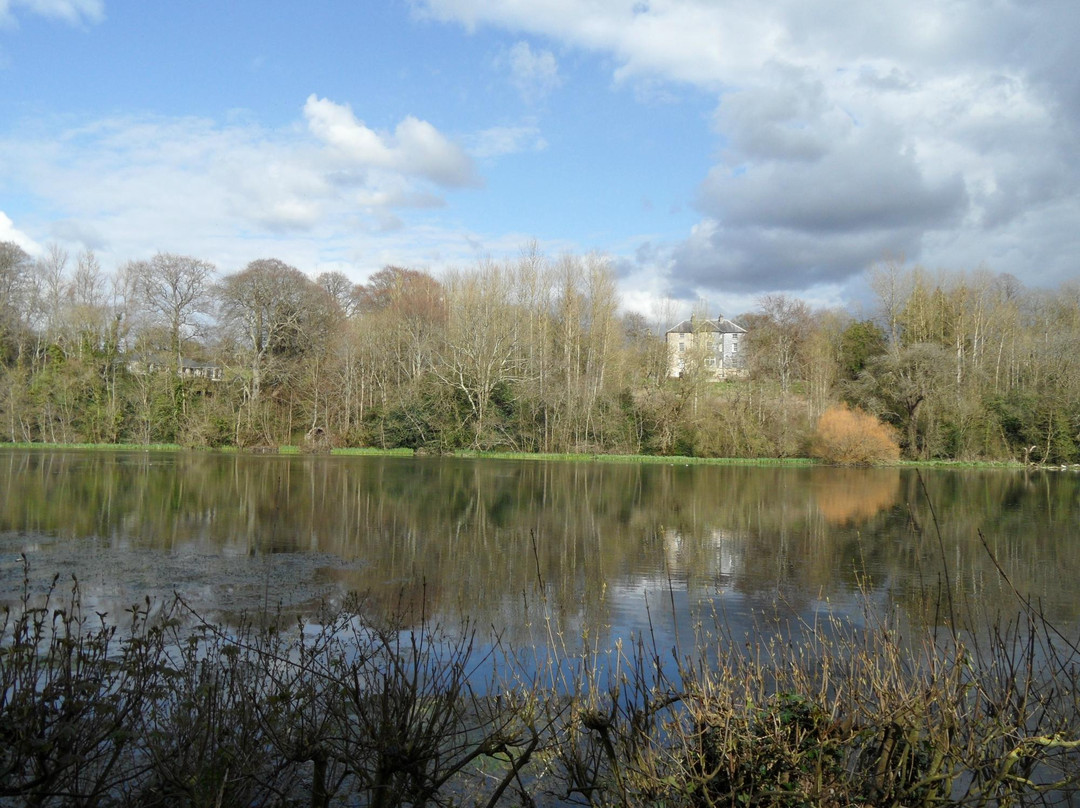 Marfield Lake-Clonmel必去景点