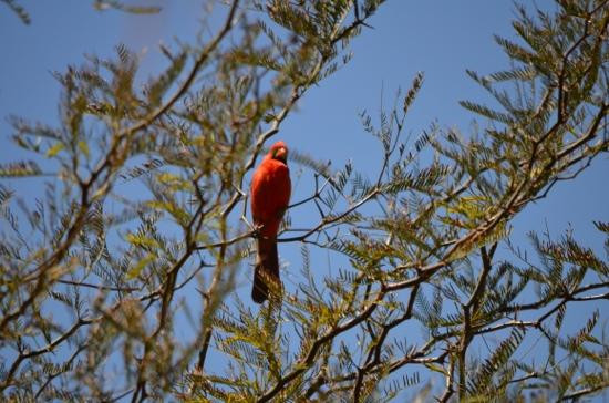St. Anthony's Greek Orthodox Monastery-Florence必去景点
