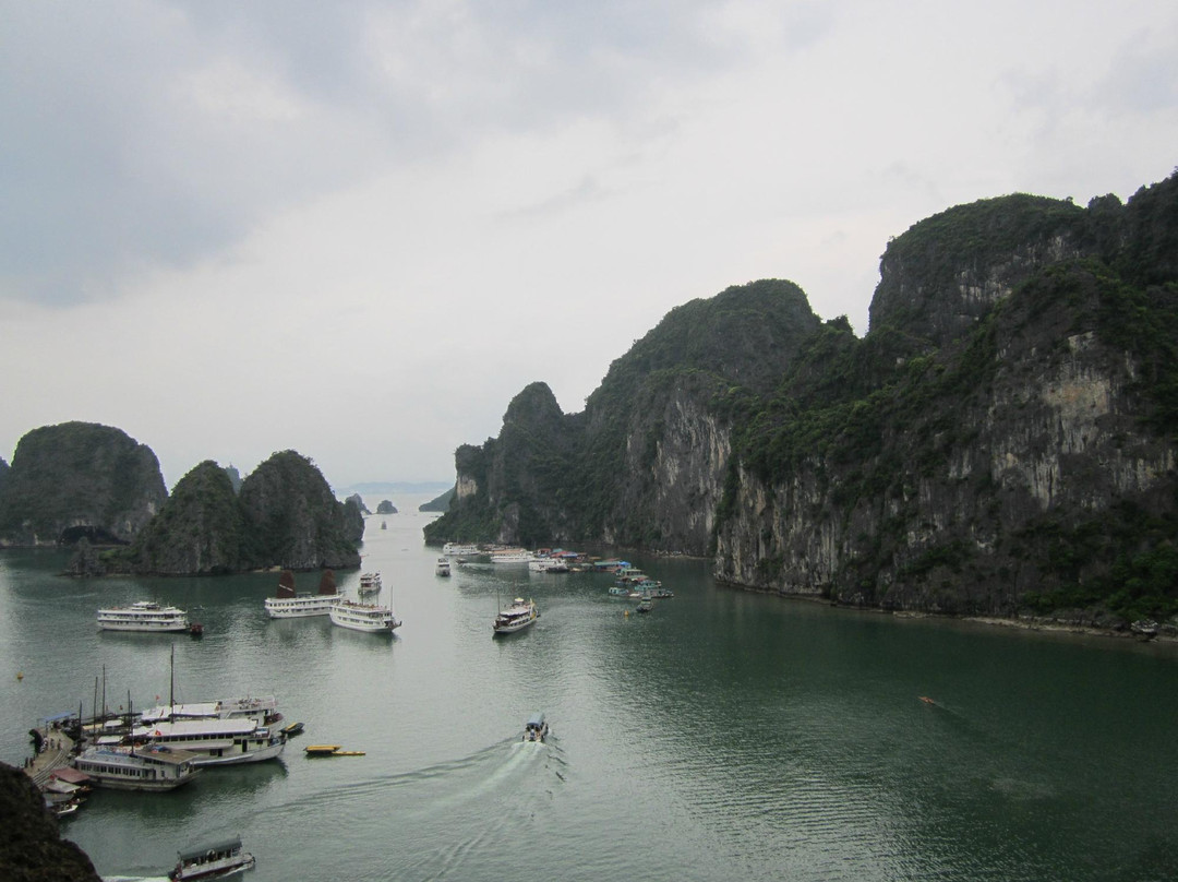 Eco Nature Travel景点图片