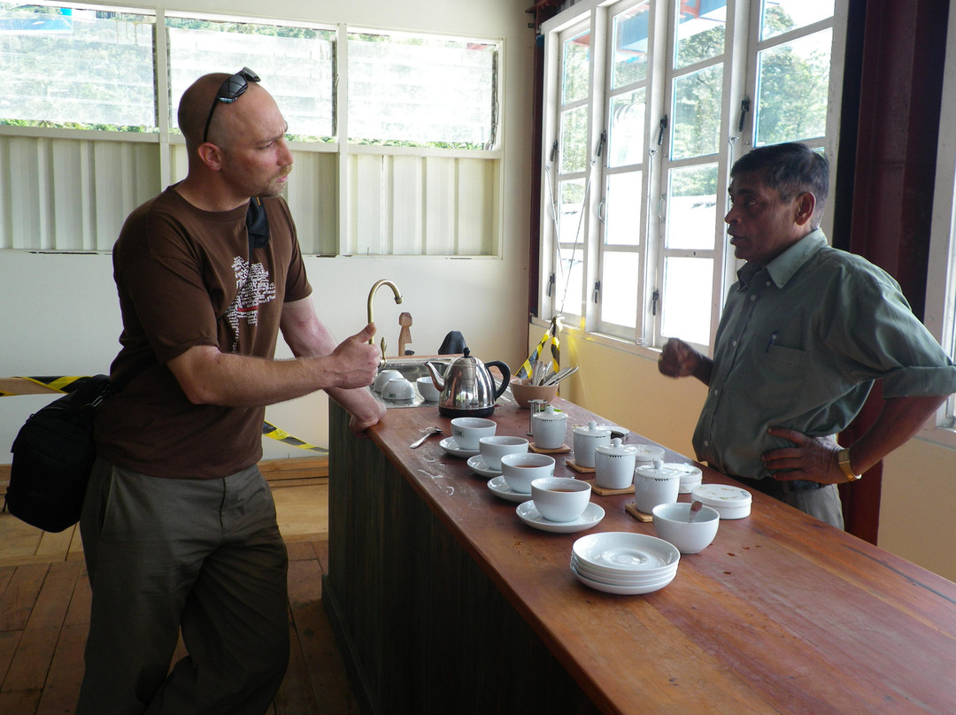 Halpewatte Tea Factory Tour-埃勒必去景点
