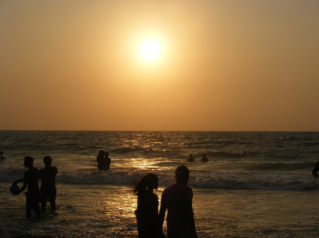 芒特拉维尼亚-科伦坡必去景点