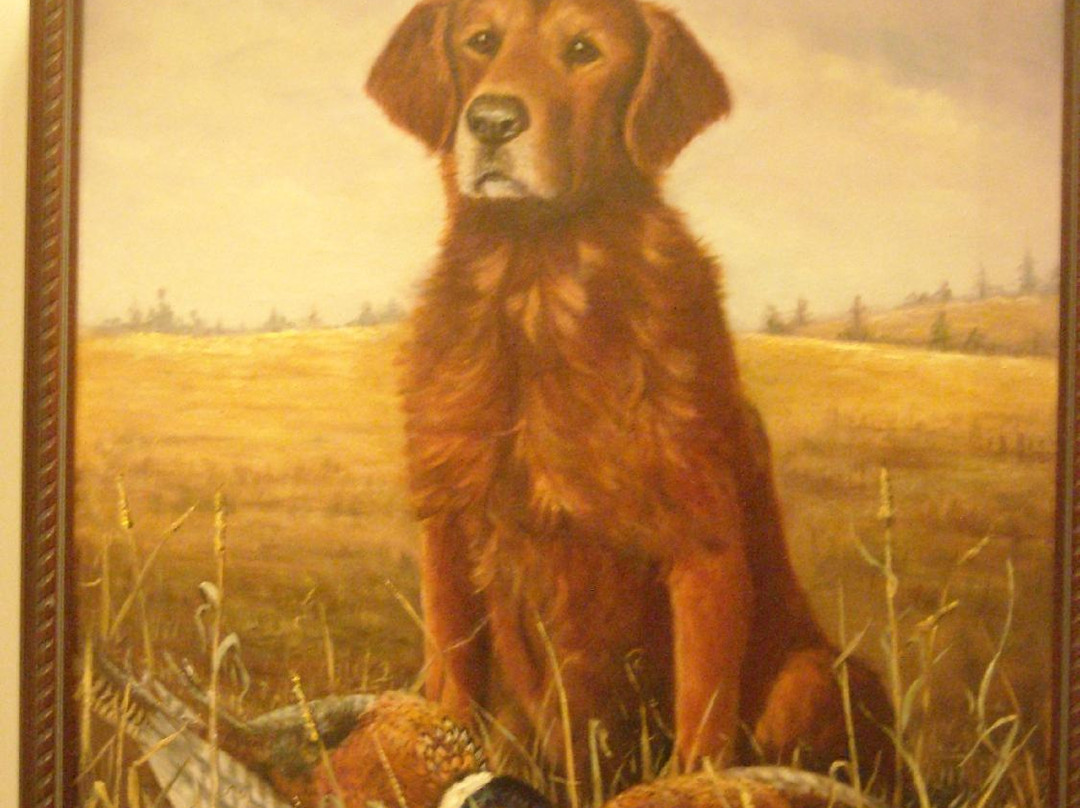 National Bird Dog Museum景点图片