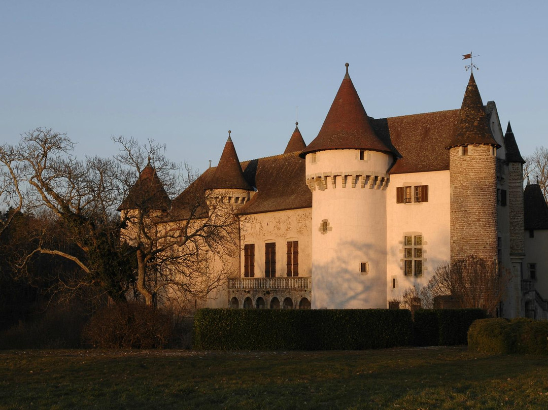 Chateau d'Aulteribe景点图片