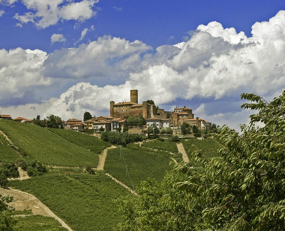 Strada del Barolo e Grandi Vini di Langa-Castiglione Falletto必去景点