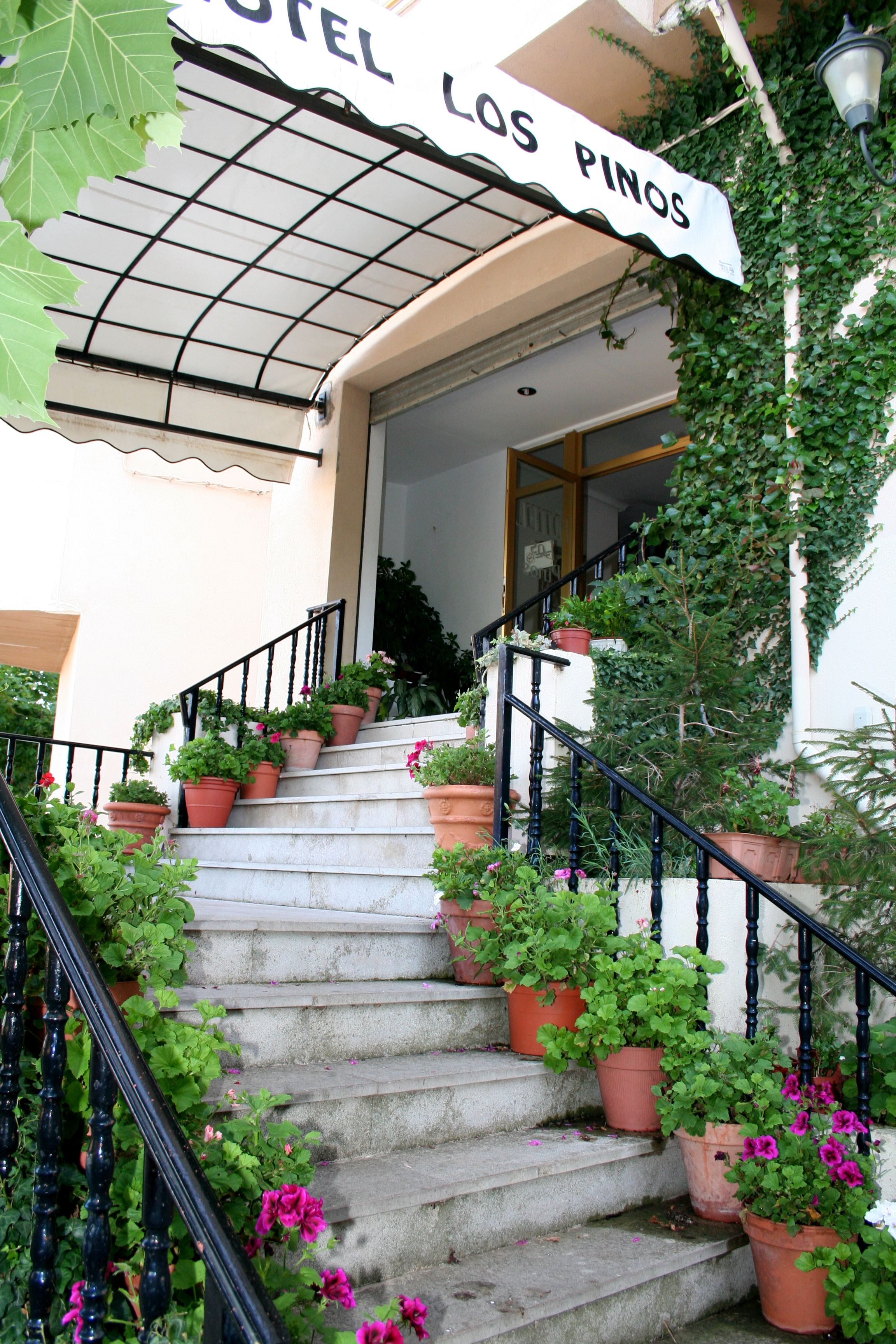 Hotel Los Pinos-官方