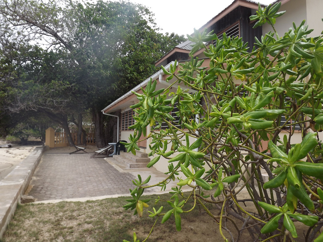 博恩卡蕾别墅主图