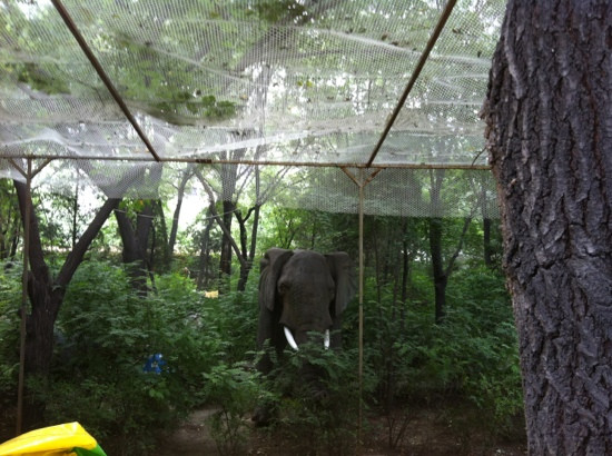 迎泽公园-太原市必去景点