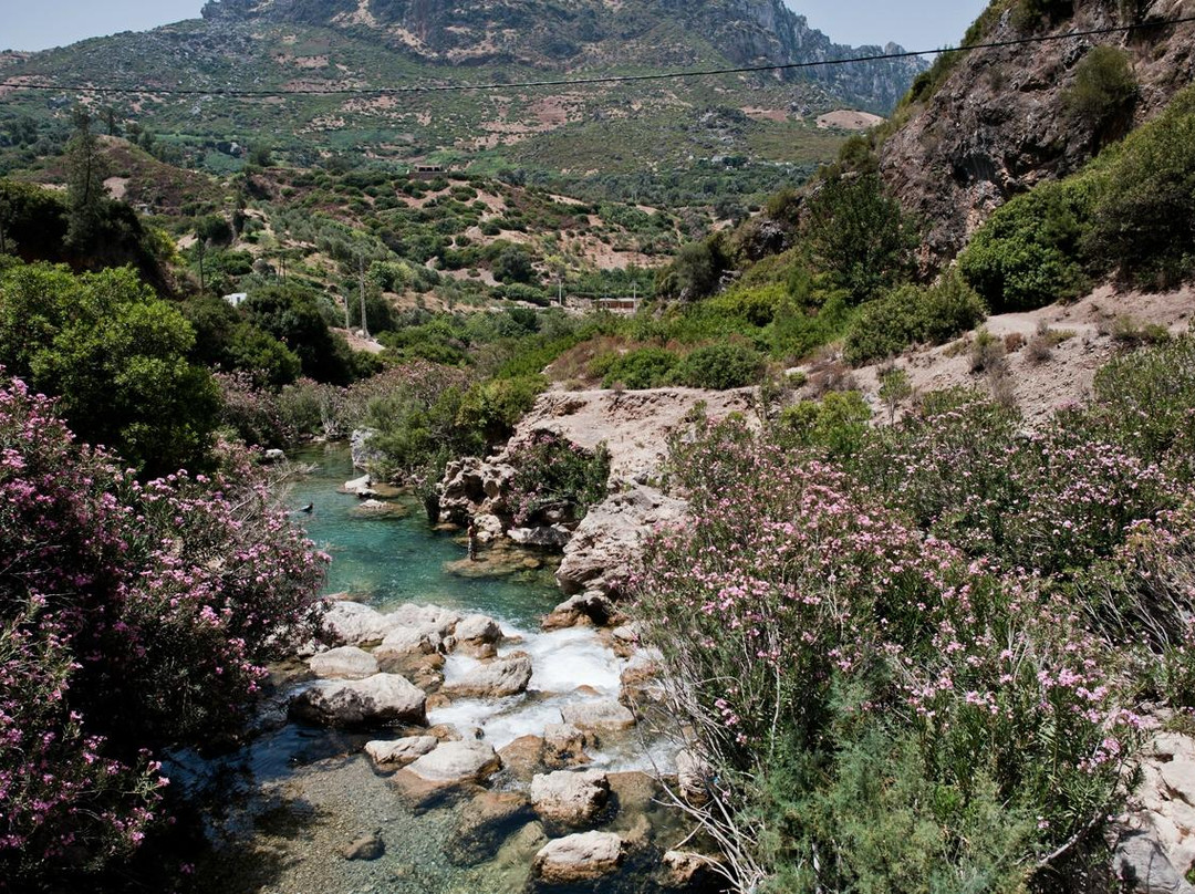 Al Oued旅游攻略图片