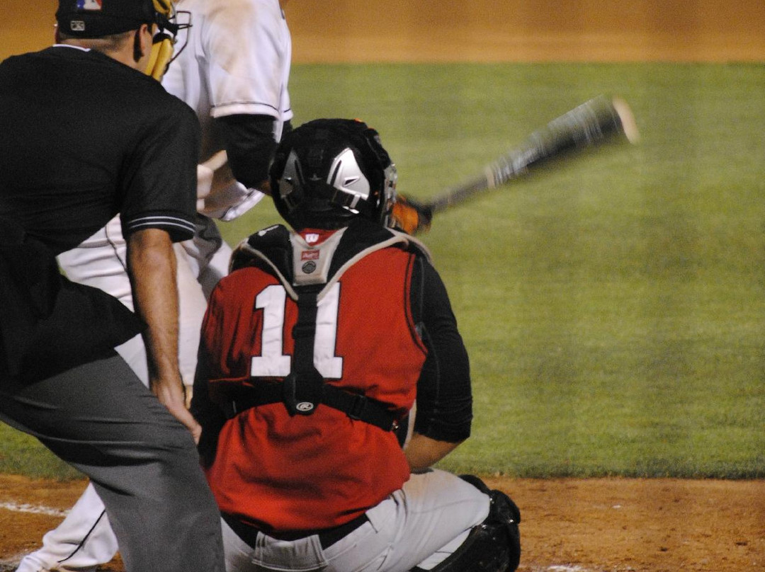 Arthur W. Perdue Stadium (Delmarva Shorebirds)-索尔兹伯里必去景点