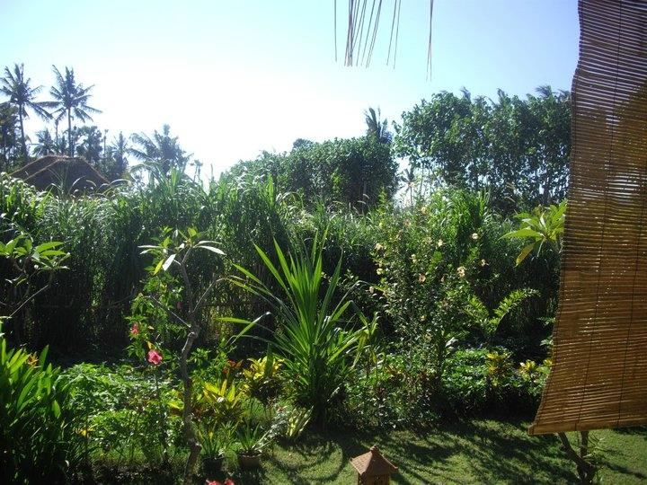 Pondok Tirta-浴室