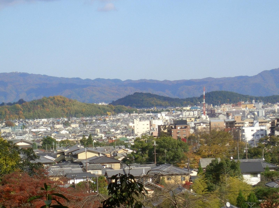 常寂光寺景点图片