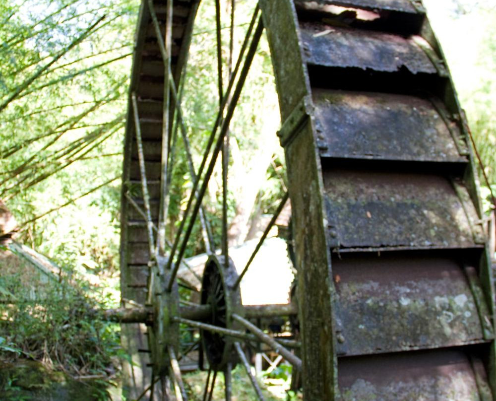 Arnos Vale Waterwheel and Nature Park-多巴哥必去景点