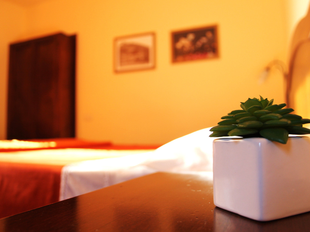 Bed & Breakfast Il Rivo主图