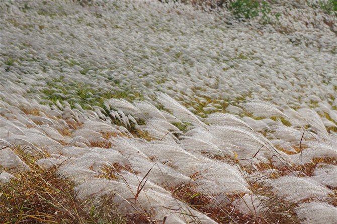 南戴河娱乐中心-抚宁县必去景点
