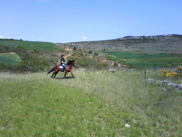 Brezilhou Riding Stables景点图片