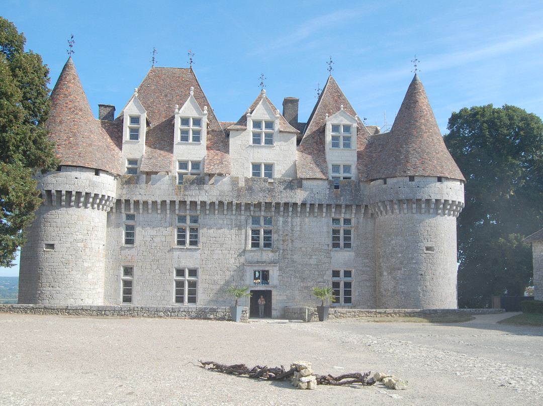 Château de Monbazillac景点图片