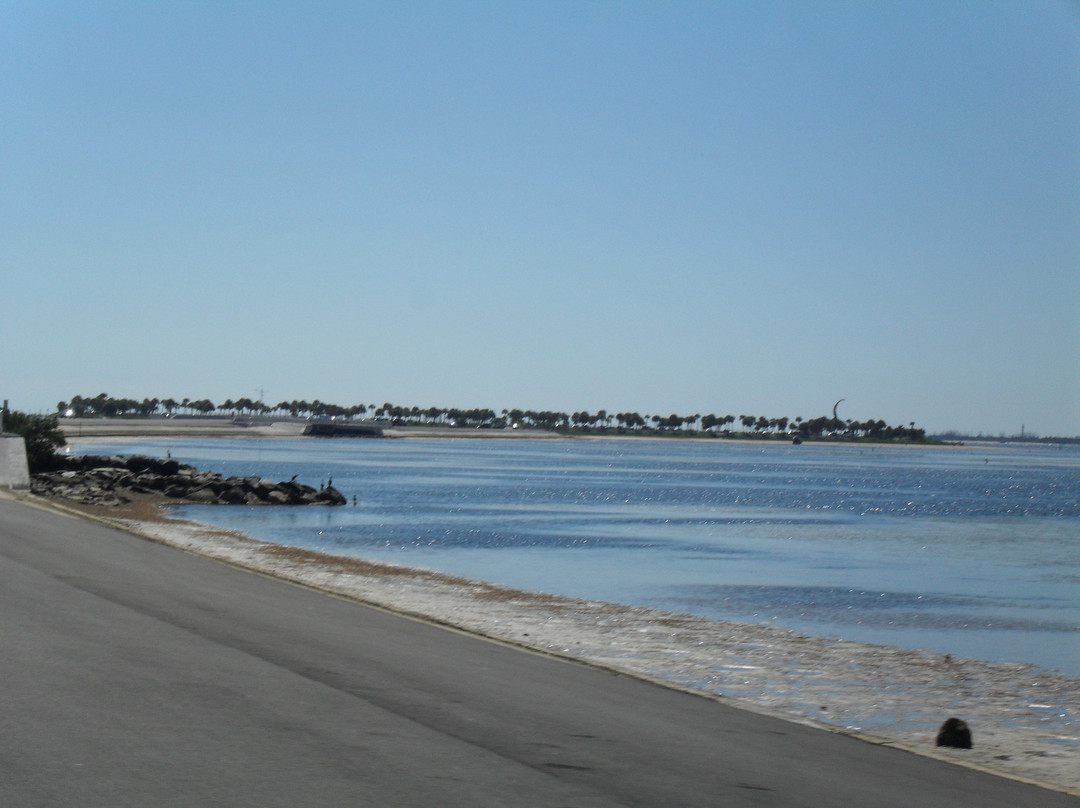 Fred Howard Park-塔彭斯普林斯必去景点