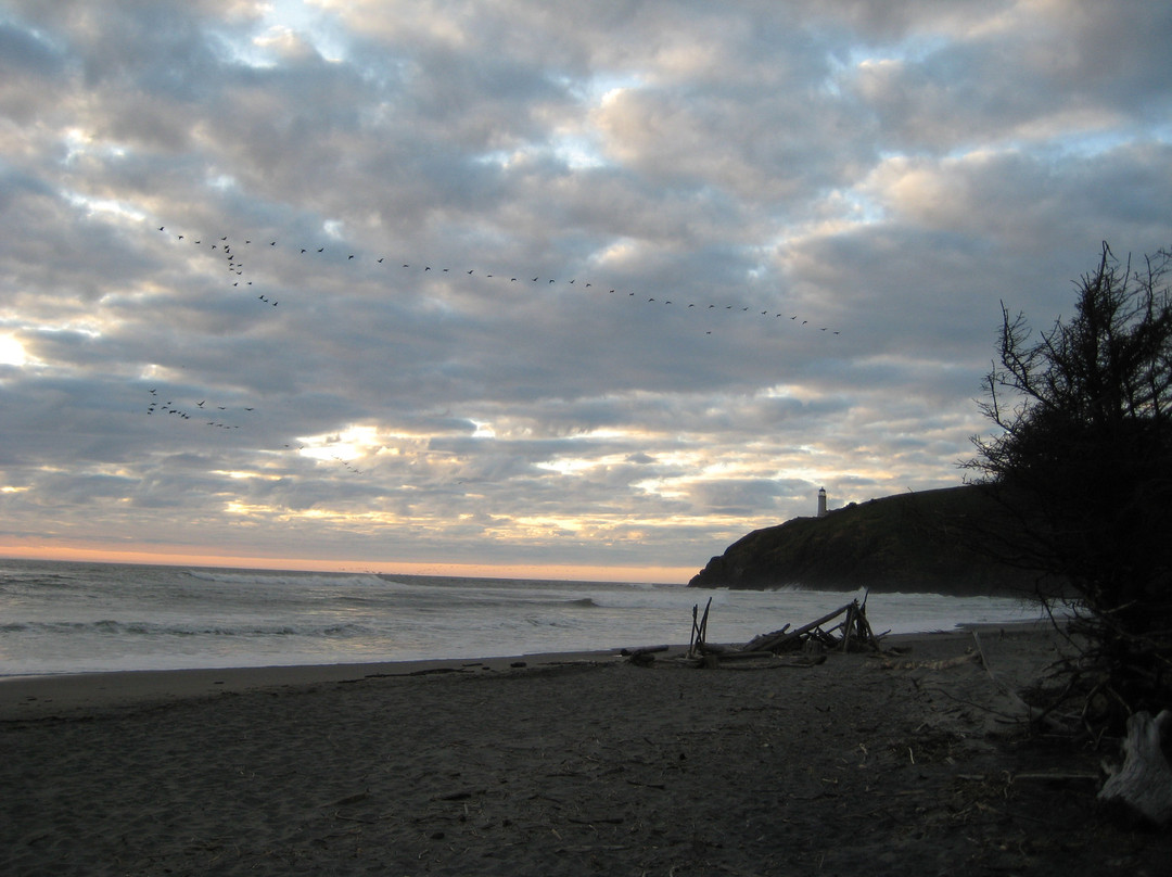 Cape Disappointment State Park景点图片