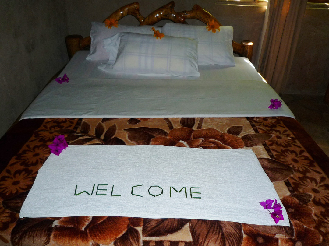 Wagtail Eco Safari Camp