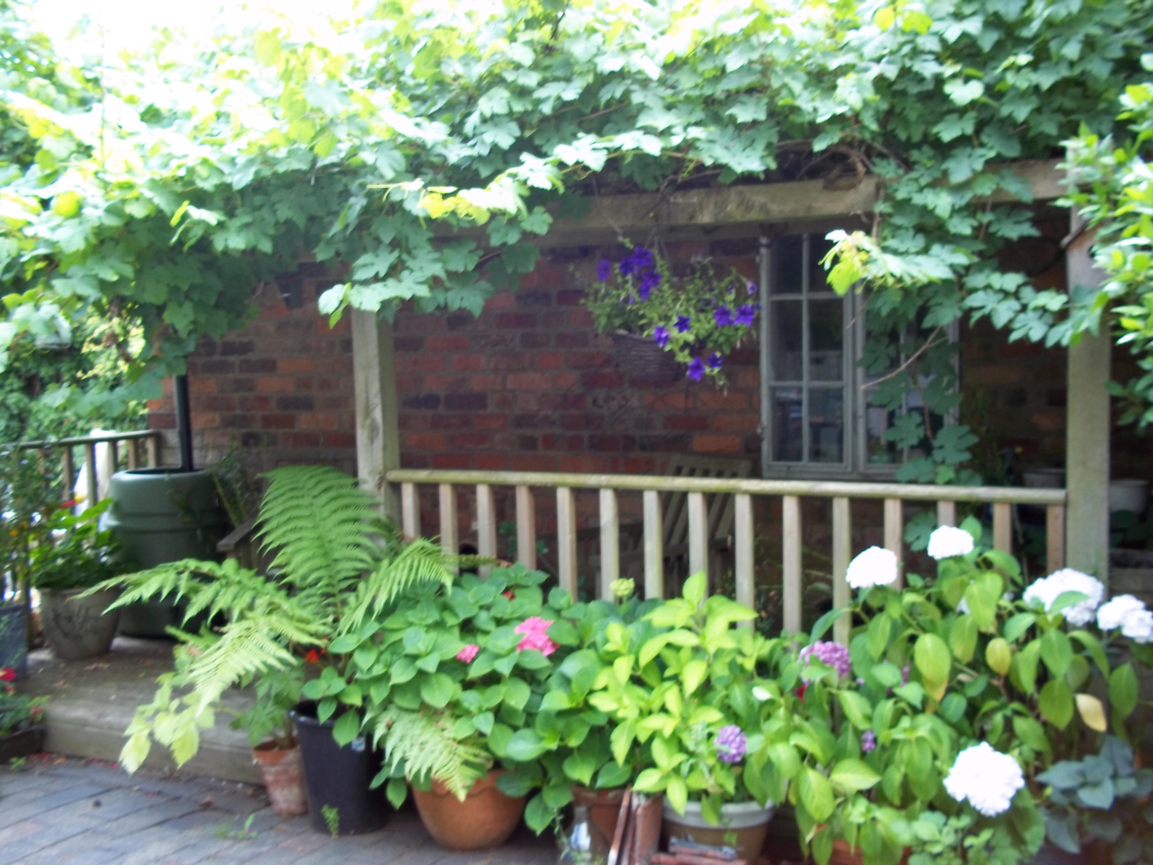 The Elms Farm-客卧