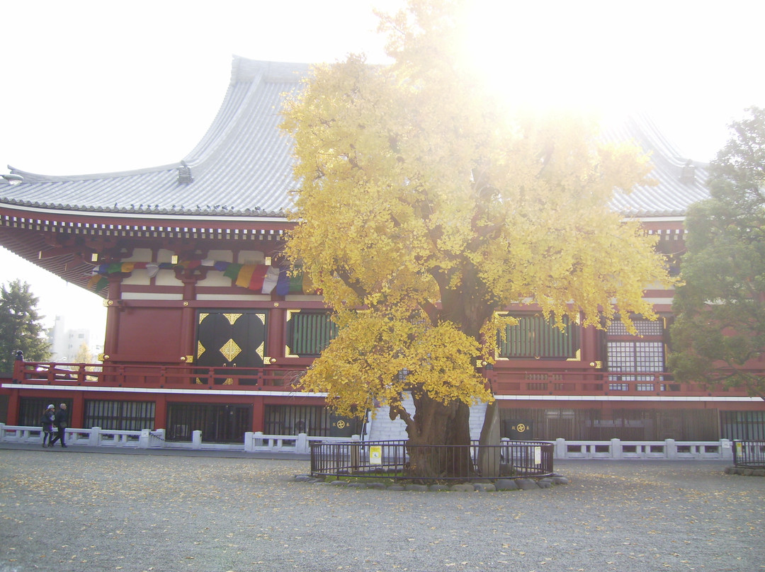 东京国立近代美术馆景点图片