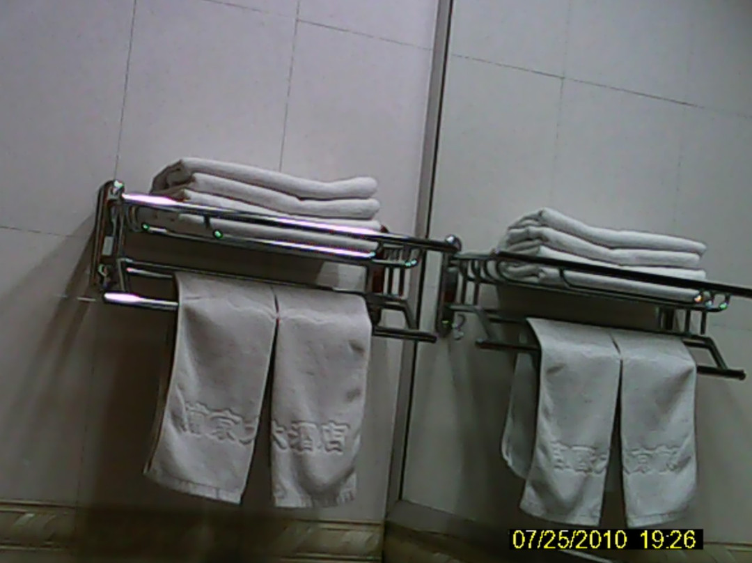 浦京大酒店主图