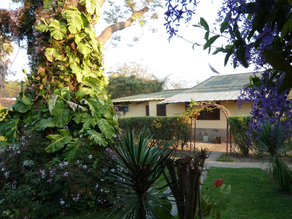 Wayside Guest House-酒店景观