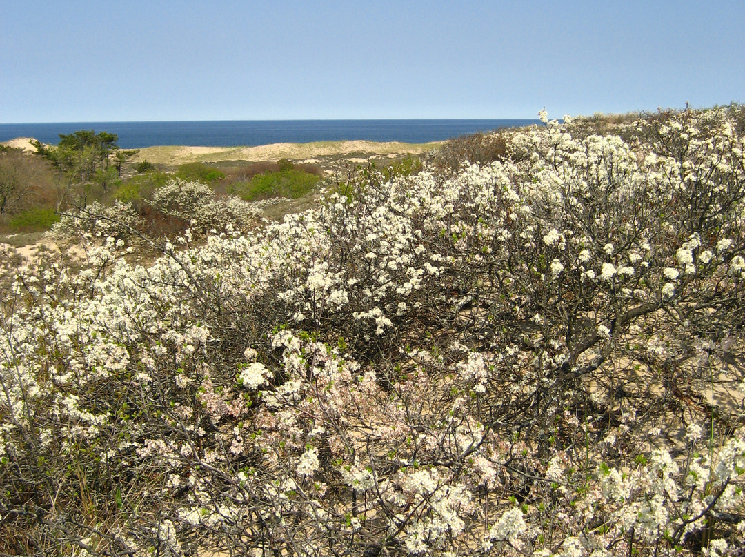Parker River National Wildlife Refuge-纽伯里波特必去景点