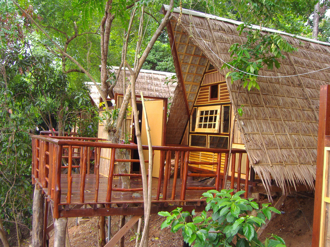 Tasik Temenggor Discovery Island