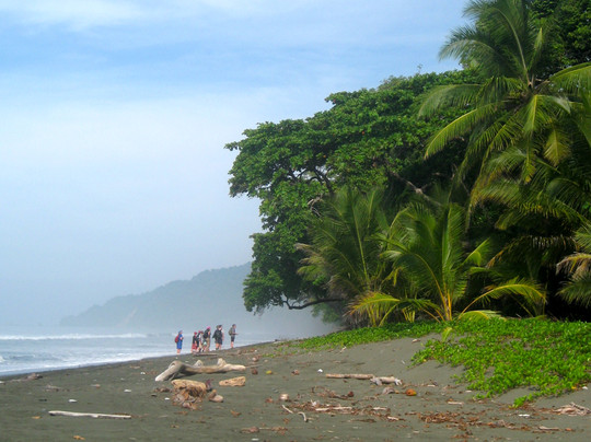 Corcovado National Park-Carate必去景点