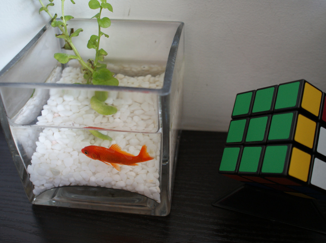 北京桔子酒店官园桥店主图