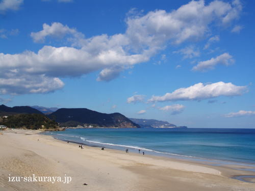 樱家海滨旅馆