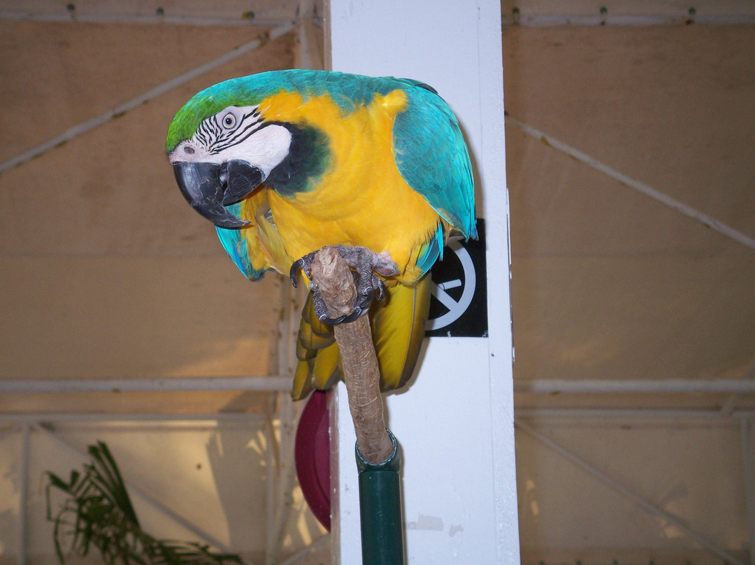 Theater of the Sea-伊斯拉摩拉达必去景点