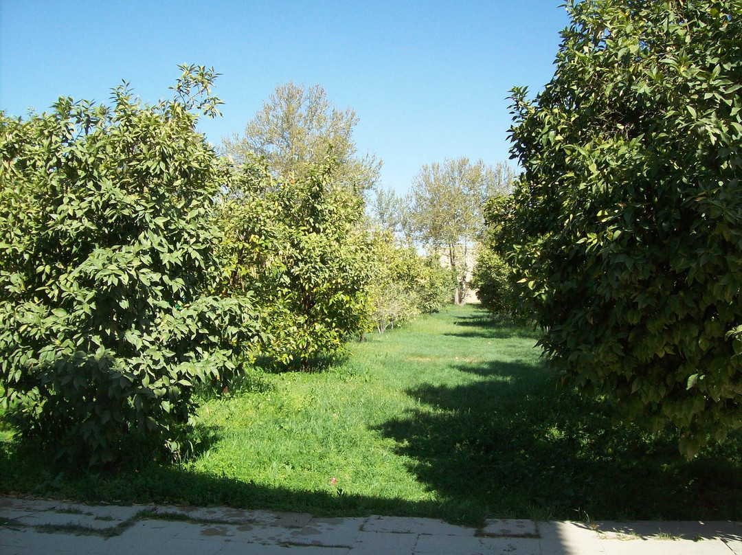 Afif-Abad Garden-Shiraz必去景点