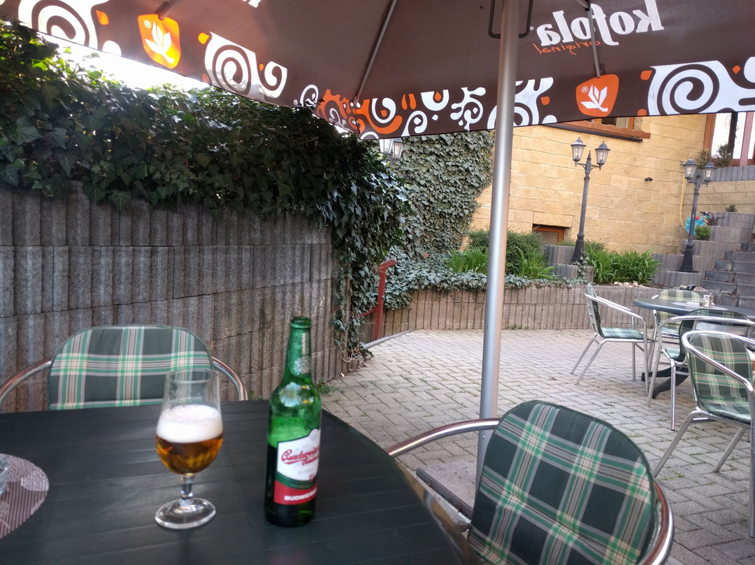 Svinosice餐馆和美食-Pizzeria U Kalvodu Lelekovice