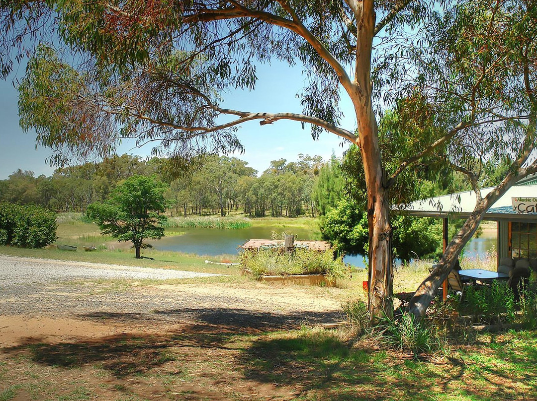 Allambie Orchard Café