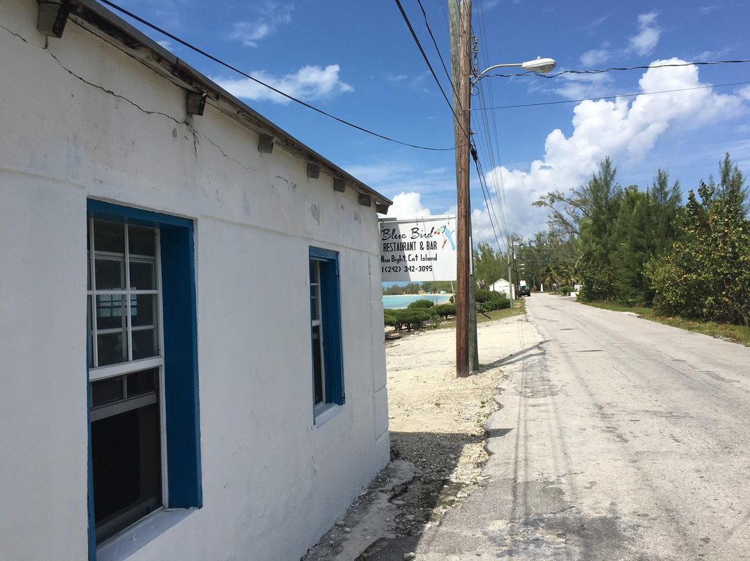 Cat Island餐馆和美食-Blue Bird Restaurant and Bar