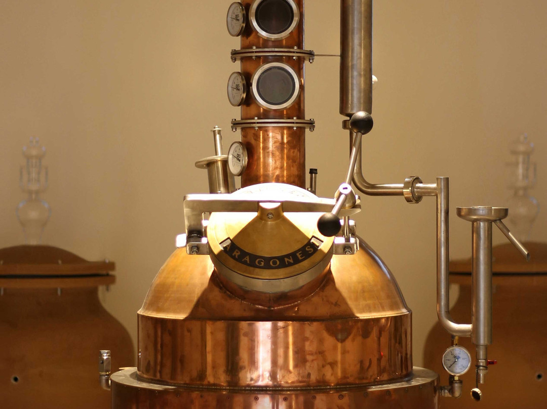 Distillerie Aragonesi景点图片