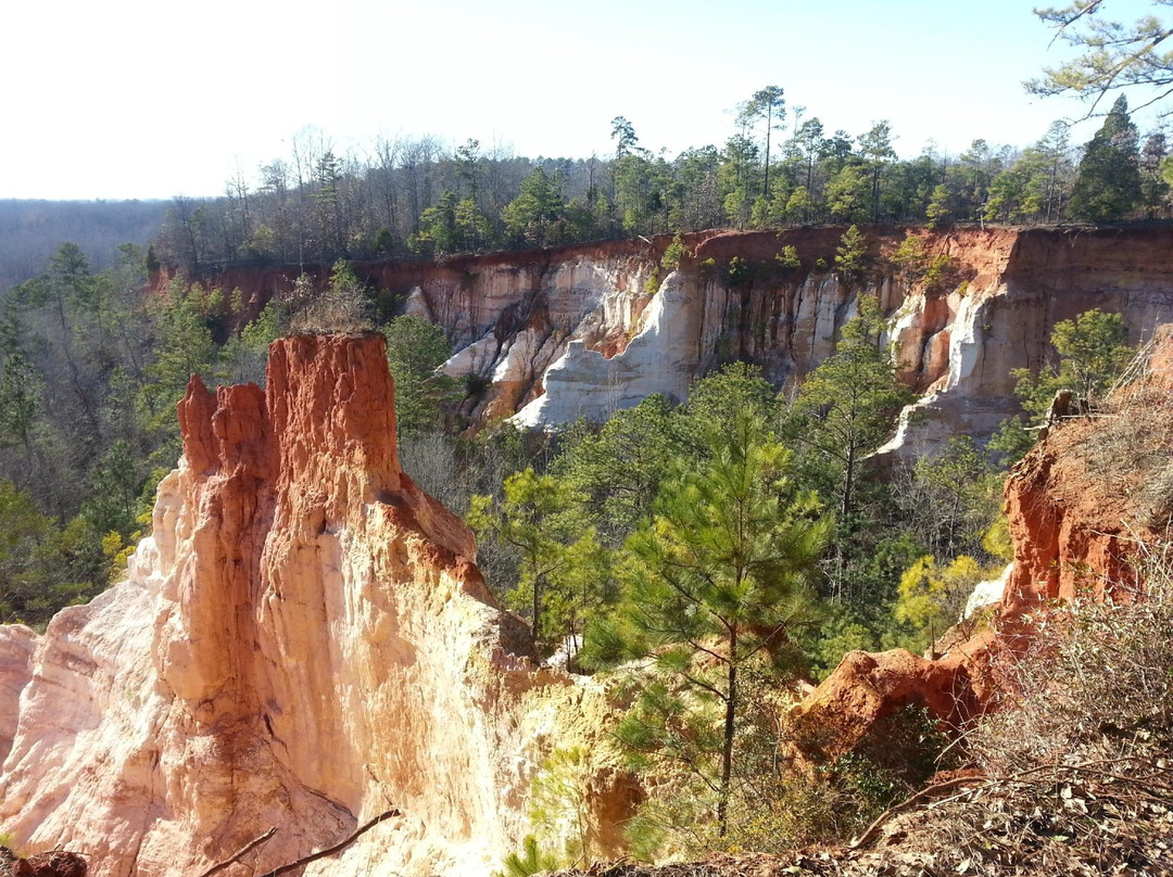 Lumpkin旅游攻略图片