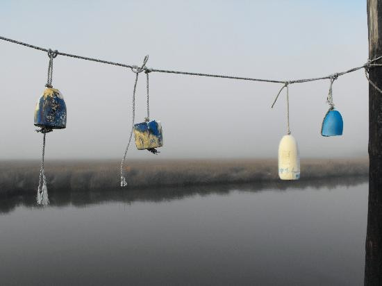 Swanquarter旅游攻略图片