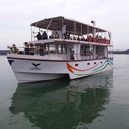 ECO TAXI Ella-埃勒必去景点