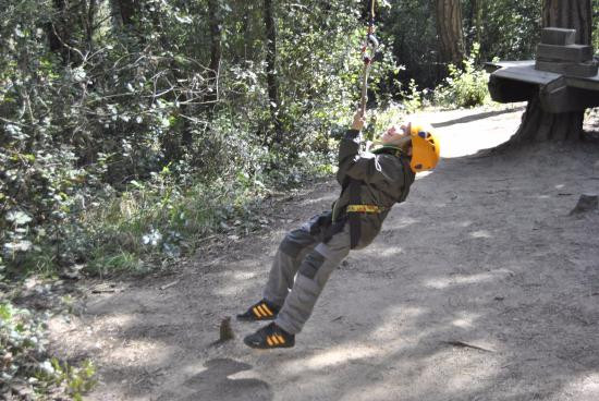 El Bosc Vertical景点图片