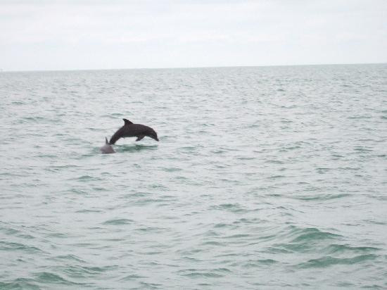 危险航行-基韦斯特必去景点