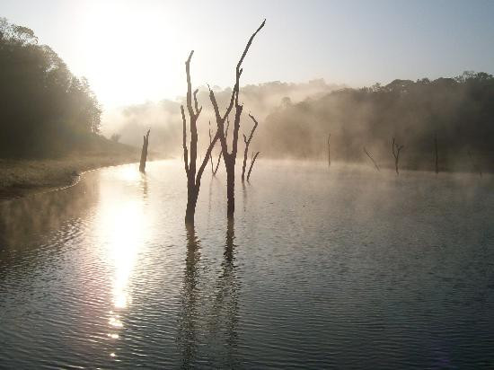 Periyar Lake景点图片