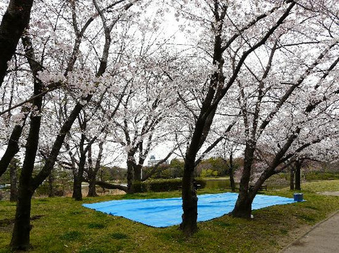 长居公园-大阪市必去景点