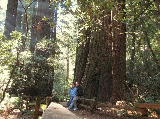 谬尔红杉森林-米尔谷必去景点