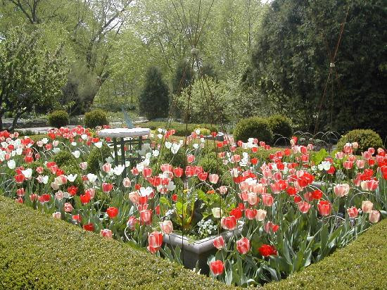 奥布里希热带植物园-麦迪逊必去景点